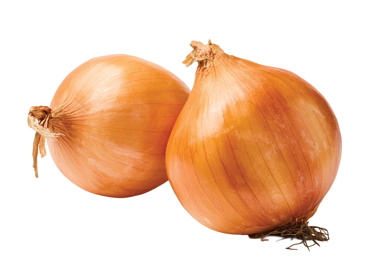 Dva žuta luka sa ljuskom na crnoj pozadini.