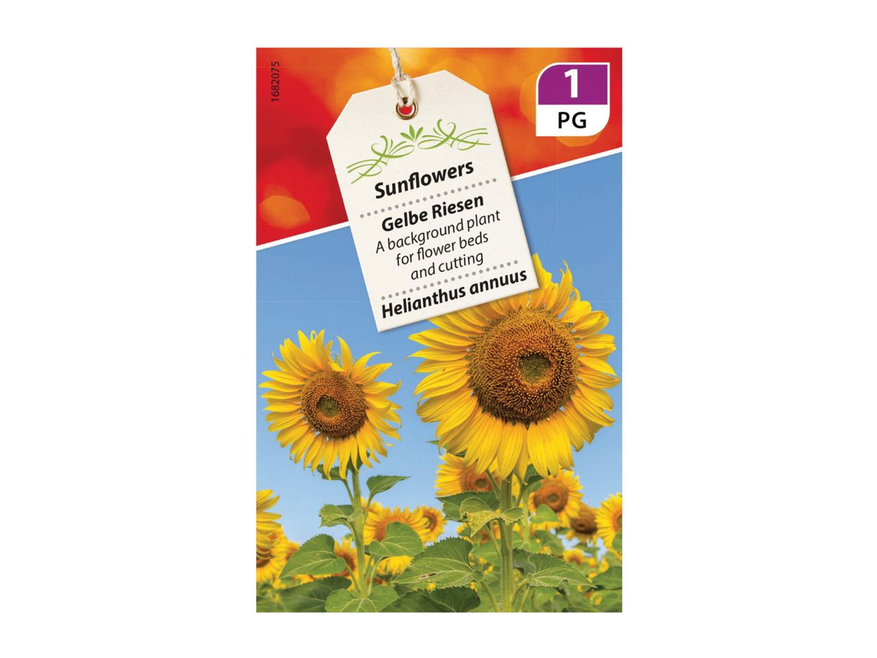 Sunflowers 'Gelbe Riesen' seed packet for flower beds and cutting