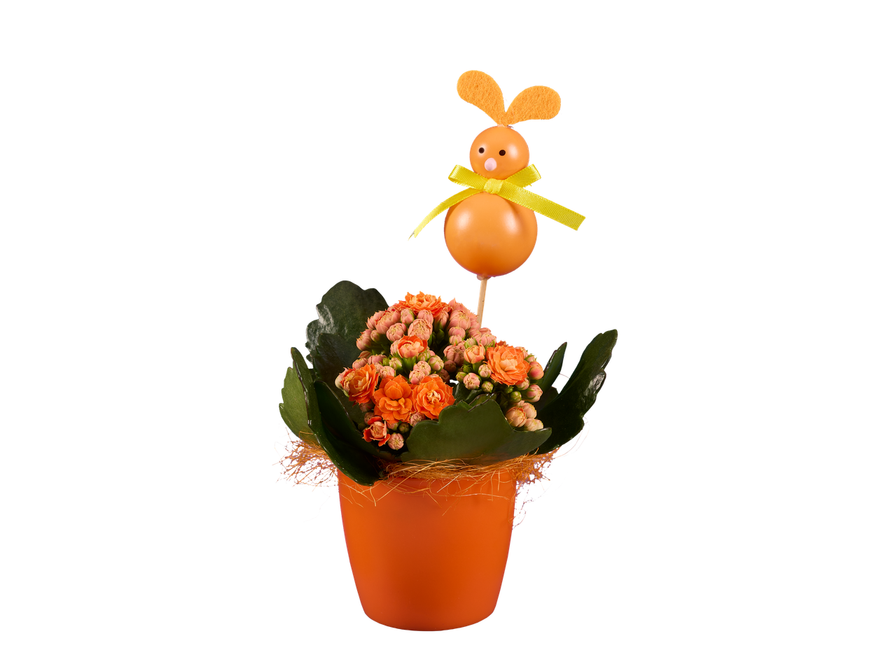Plante de Kalanchoé orange en pot avec un lapin de Pâques.