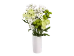 Nellike: Um ramo de crisântemos brancos e verdes num vaso branco.