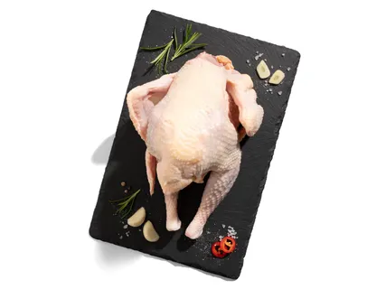 Friss, nagytestű tyúk