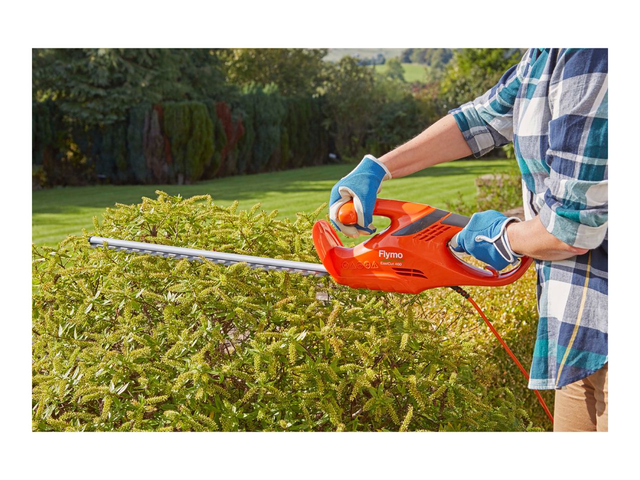 Person trimming a hedge with an electric hedge trimmer in a garden.