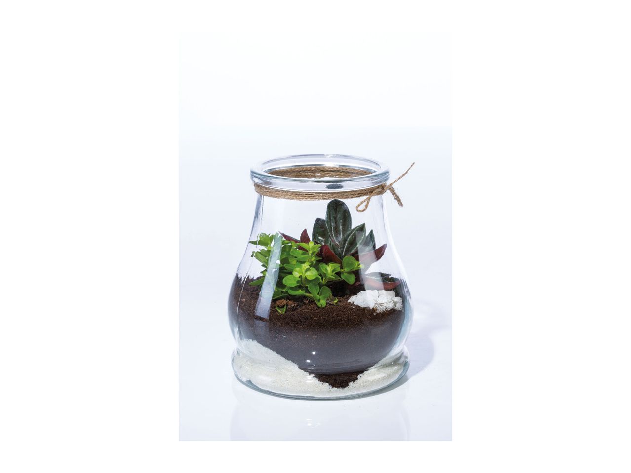 A small succulent terrarium in a clear glass jar.
