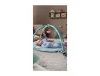 Baby on a playmat with an activity arch and hanging toys.