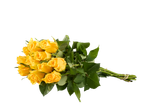 Buquê de rosas amarelas em fundo preto.
