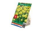 Verpakking voor Narcissus 'Tête à Tête' bloembollen van Holland Selection