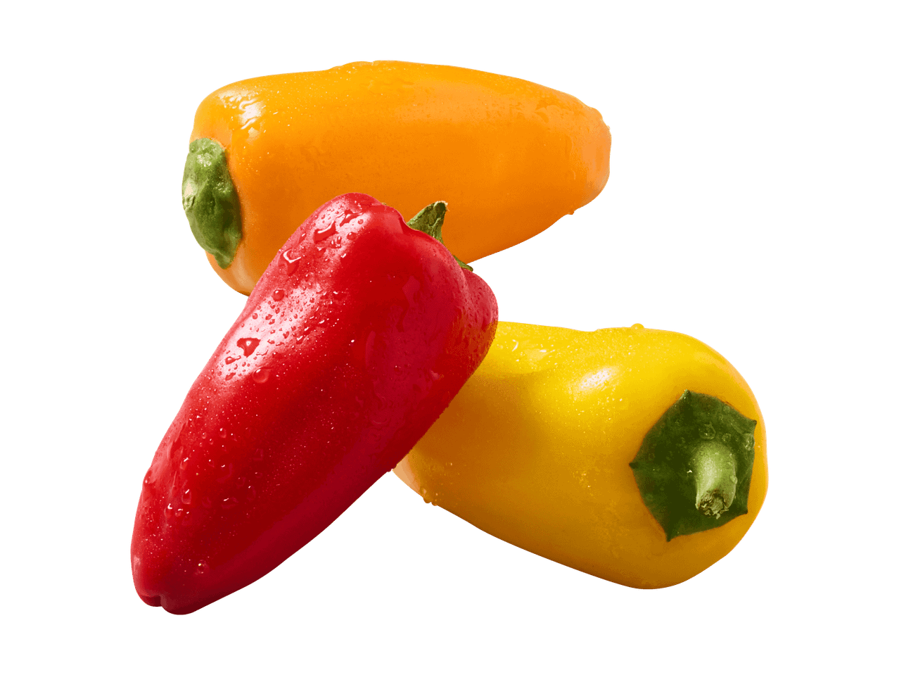 Drei bunte Mini-Paprika in Rot, Gelb und Orange mit Wassertropfen.