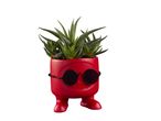 Petit pot de plante rouge en forme de personnage avec des lunettes de soleil, contenant une plante aérienne.
