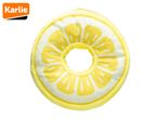 Karlie lemon-shaped plush dog toy.