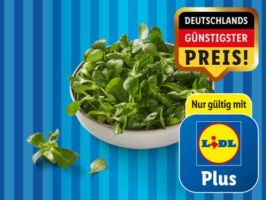 Bio Feldsalat