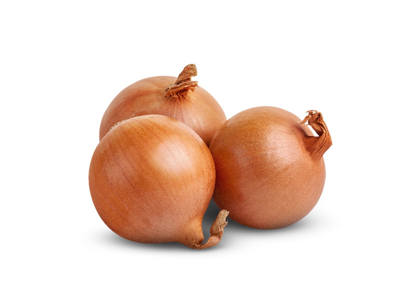 Three brown onions sit together on a white background.