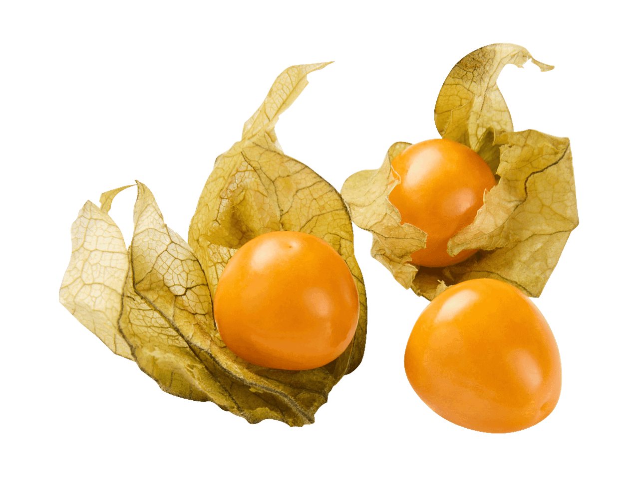 Drei goldene Physalis-Früchte, teilweise von ihren papierartigen Hüllen umgeben, auf schwarzem Hintergrund.