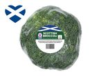 Packaged Scottish broccoli.