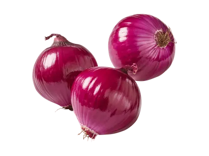 Swiss organic red onions