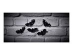 Six black bat decorations on a white brick wall, illuminated by a spotlight.