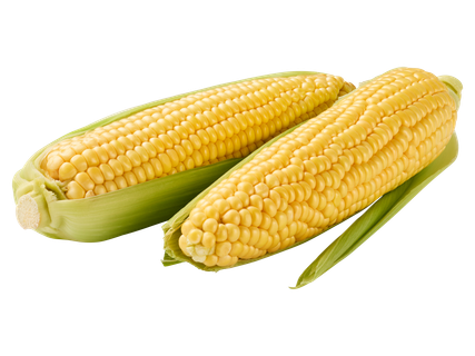Csemegekukorica