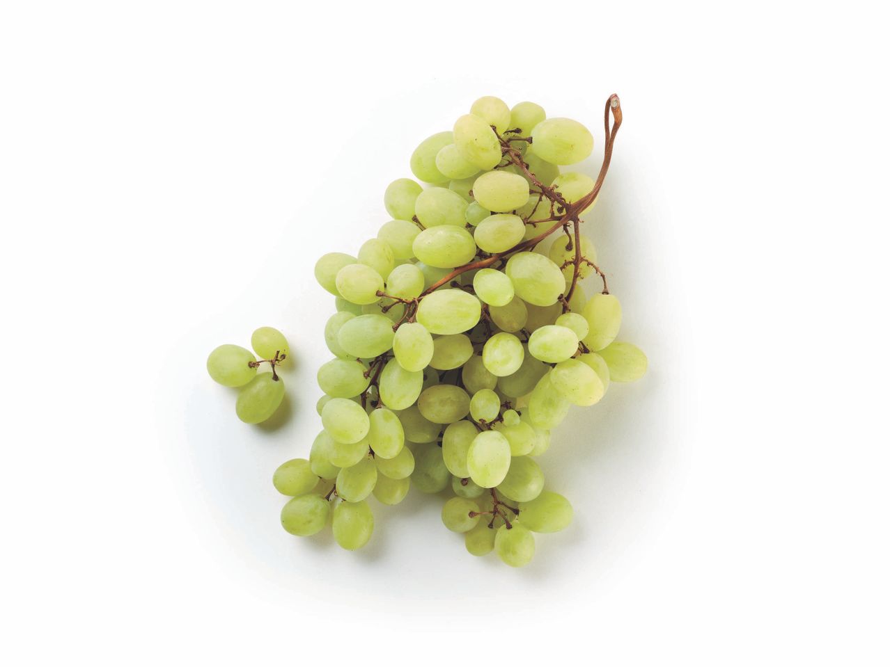 White Grapes Mazzarone PGI