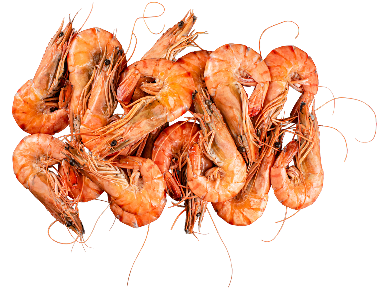 Kaluri virtos krevetės, krūva oranžinių krevečių su ūsais juodame fone.