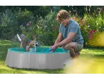Man playing with a Beagle dog in a Zoofari Dog Pool, splashing water in a garden.