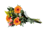 Boeket met oranje gerbera's en anjers.