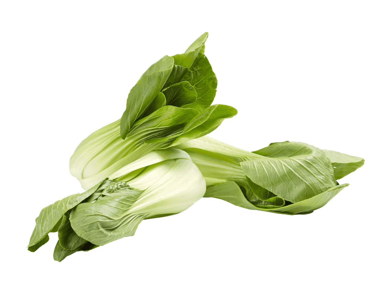 Frischer Bok Choy auf schwarzem Hintergrund.