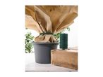 Green garden twine securing a protective plant cover on a potted plant.