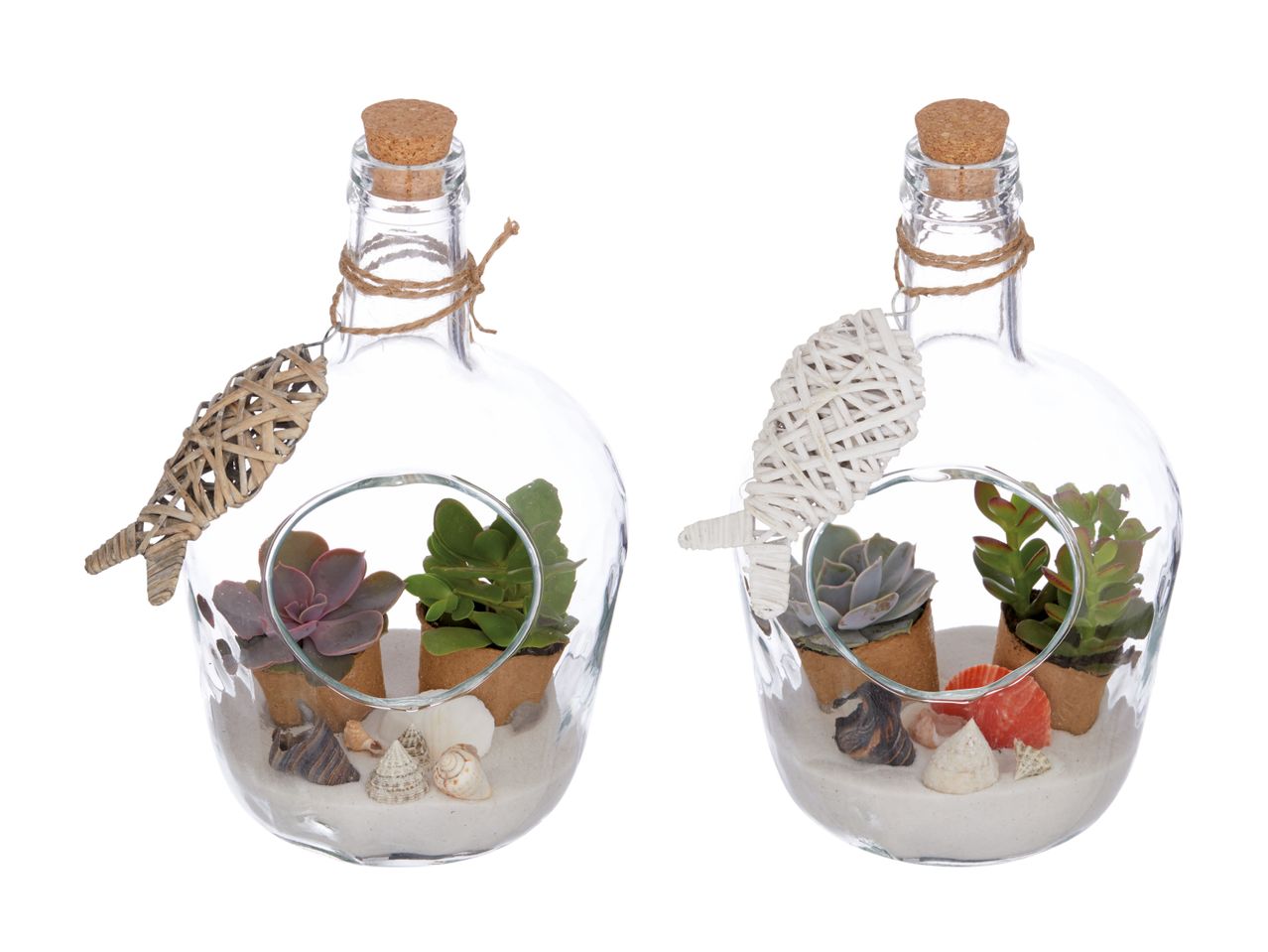 Zwei Flaschen-Terrarien mit Sukkulenten, Muscheln und maritimen Dekorationen.