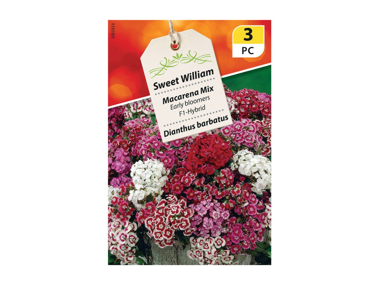Sweet William 'Macarena Mix' F1-Hybrid flowers in various shades of pink, red, and white.