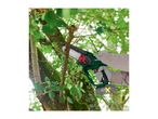 A person using a cordless mini chainsaw to prune a tree branch.