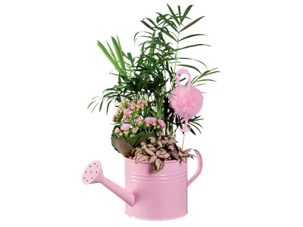 Цветен микс
