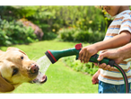 Child and adult watering a dog with Parkside multi-function spray gun.