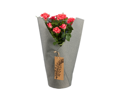 Trandafiri maxi în ambalaj decorativ
