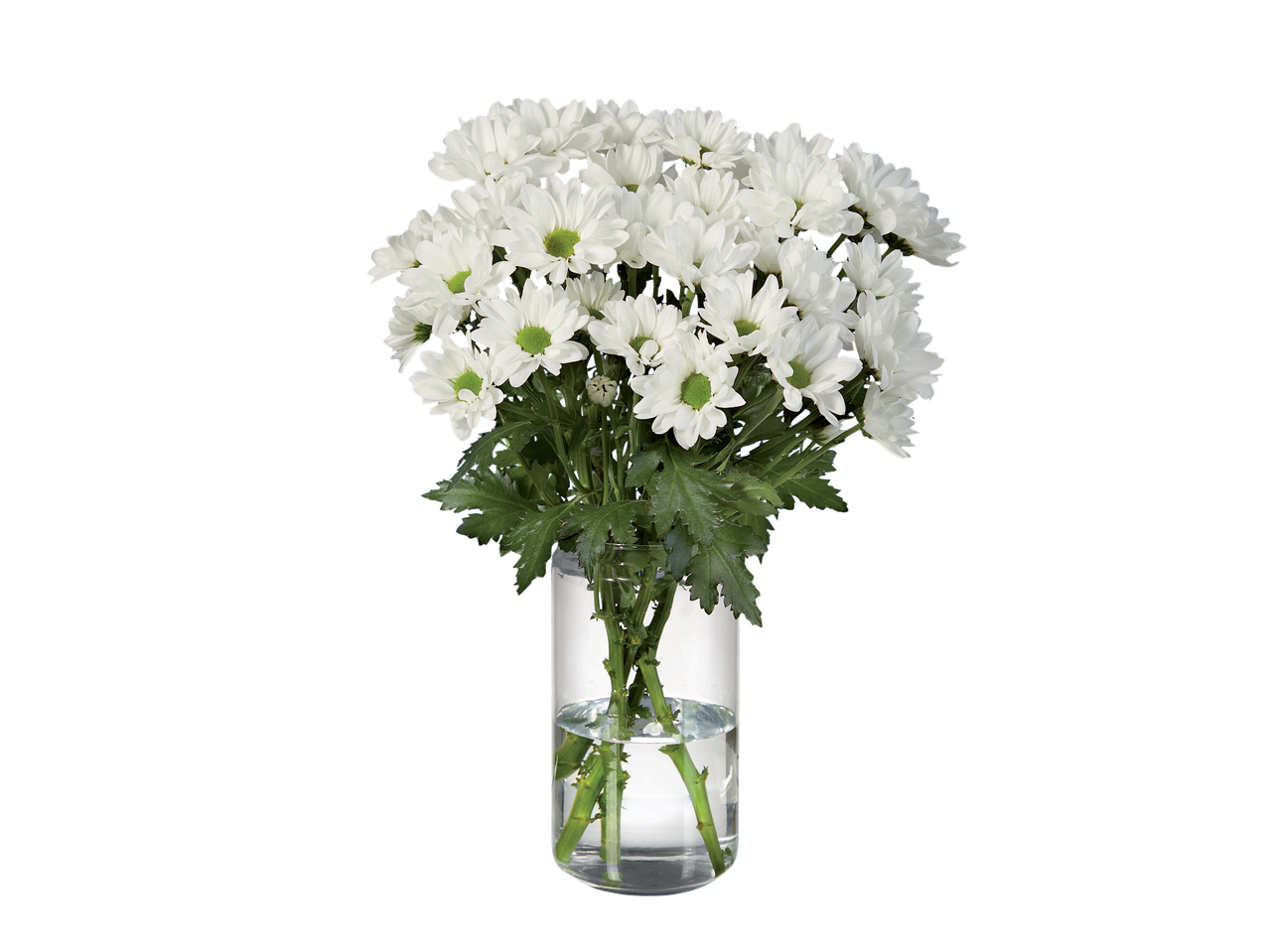 Buchet de crizanteme albe într-o vază de sticlă.