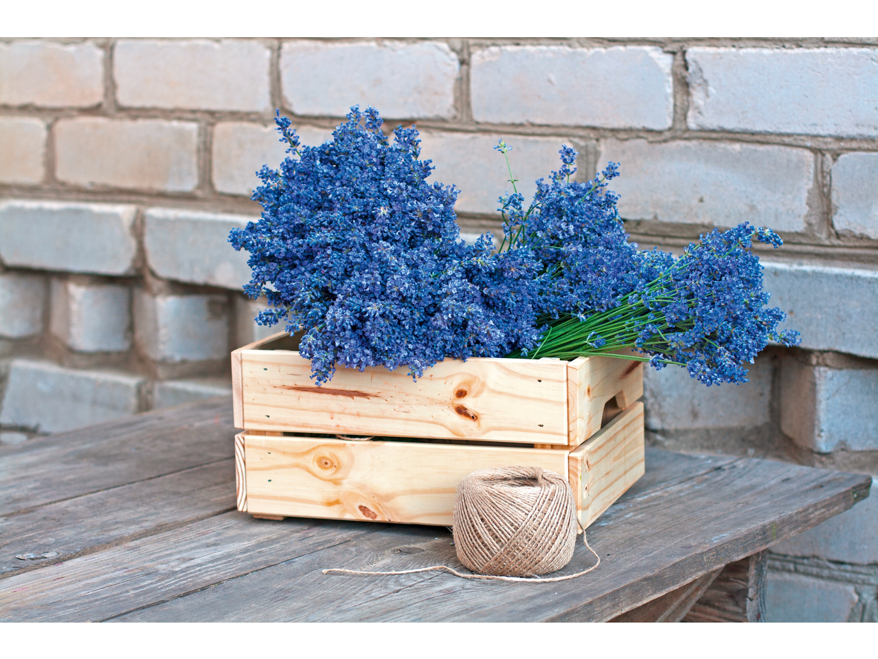 Ramos de lavanda numa caixa de madeira sobre uma mesa de madeira, com parede de tijolos.