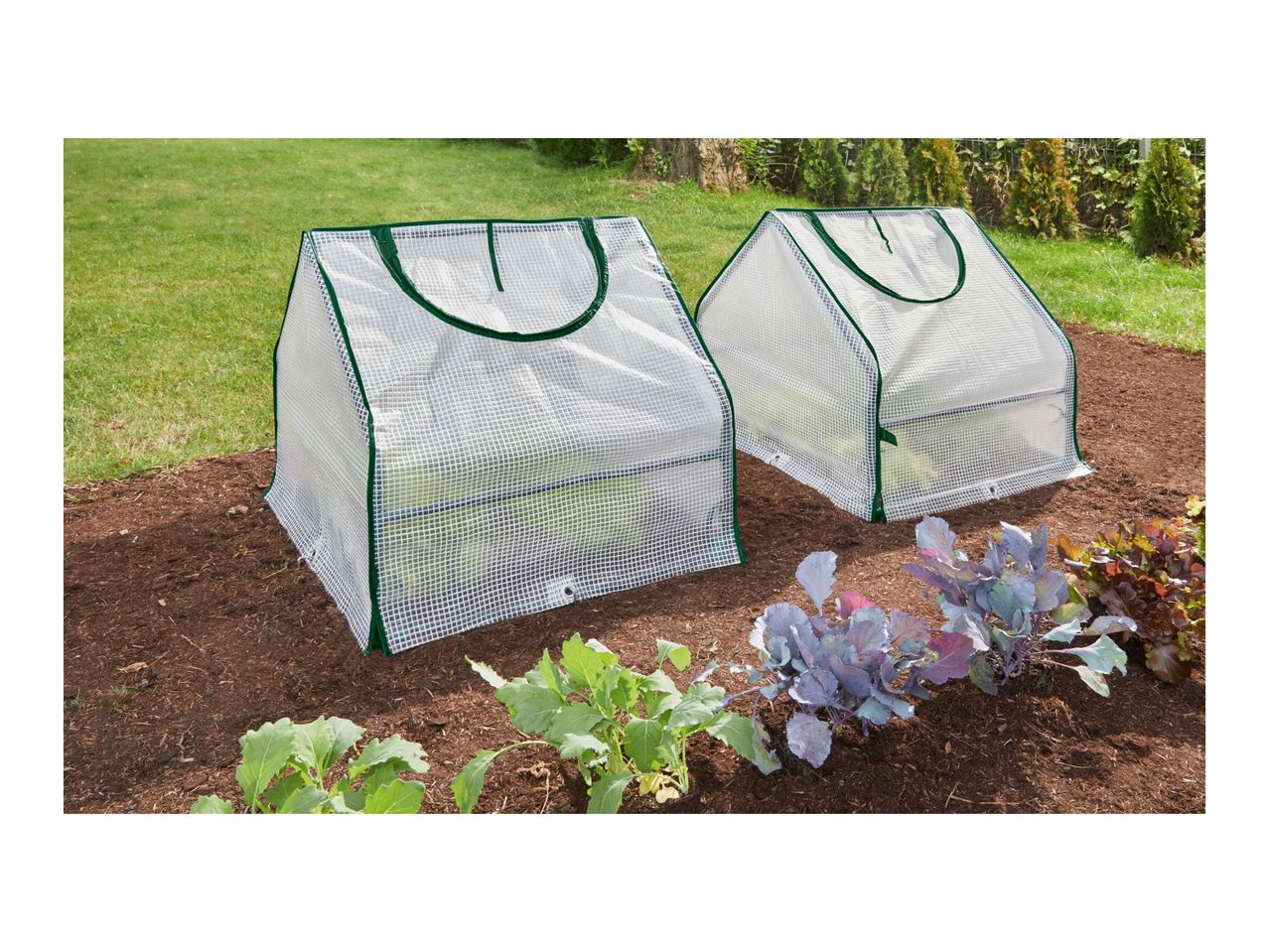 Go to full screen view: Parkside Cold Frame - 2 pack - Image 6