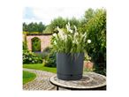 Dark grey planter with white and green plants on a mosaic table in a garden.