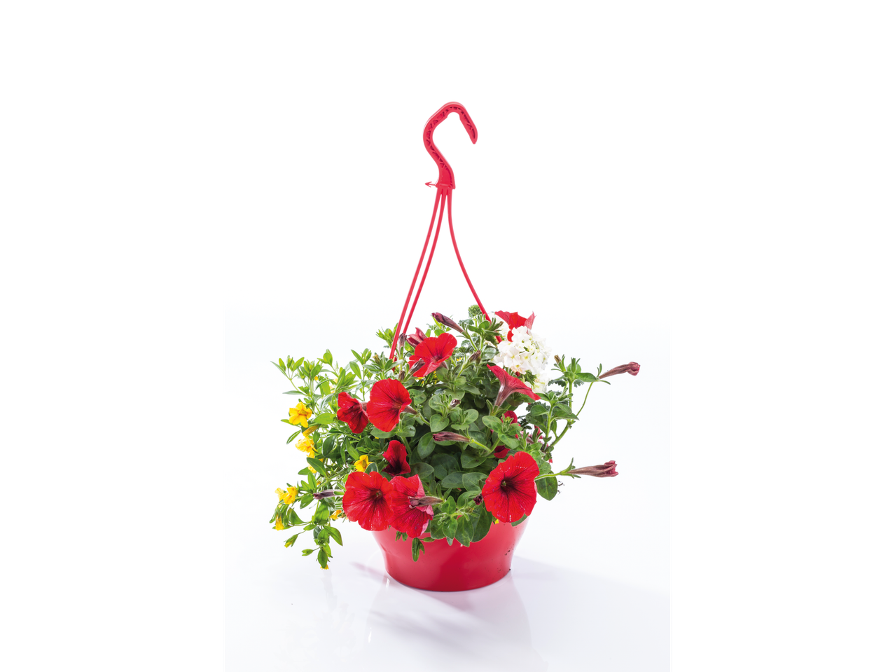 Rode hangende pot met kleurrijke petunia's en andere bloemen.