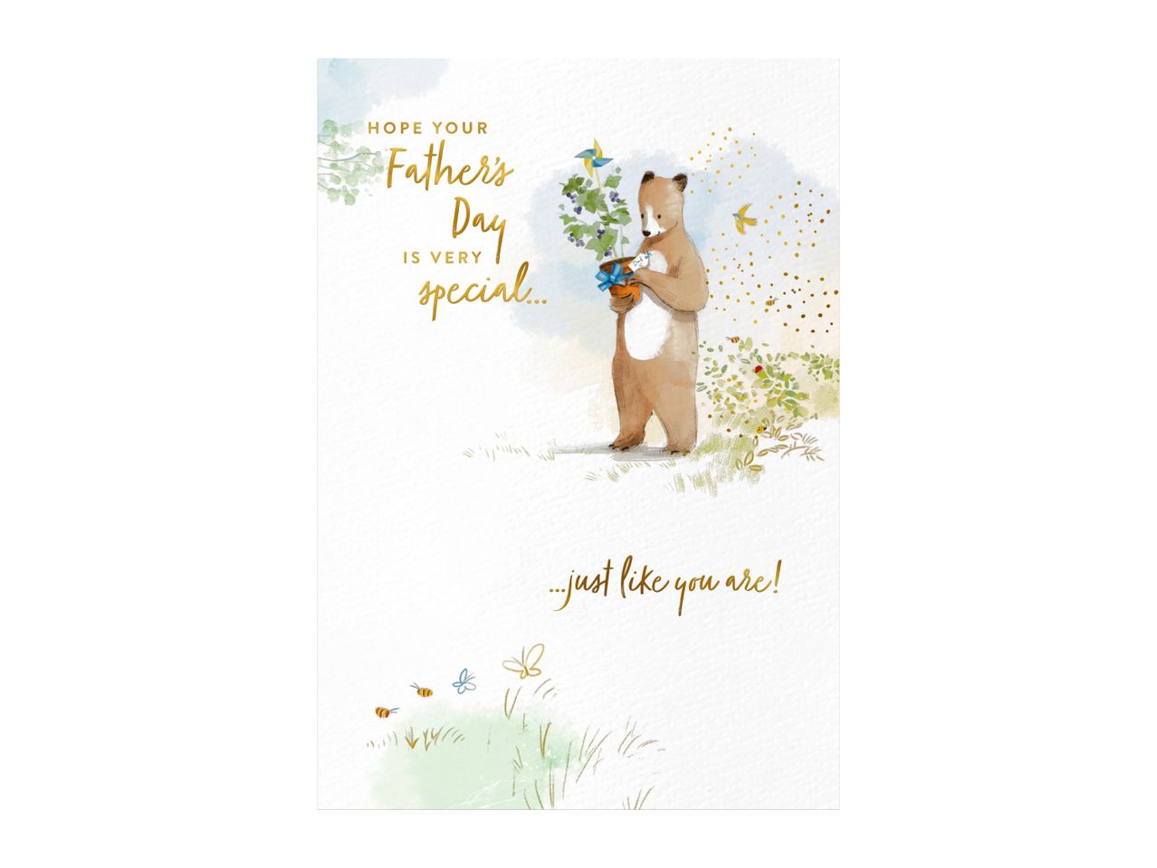 Father's Day card with a bear holding a potted plant, text reads: 'Hope your Father's Day is very special...just like you are!'