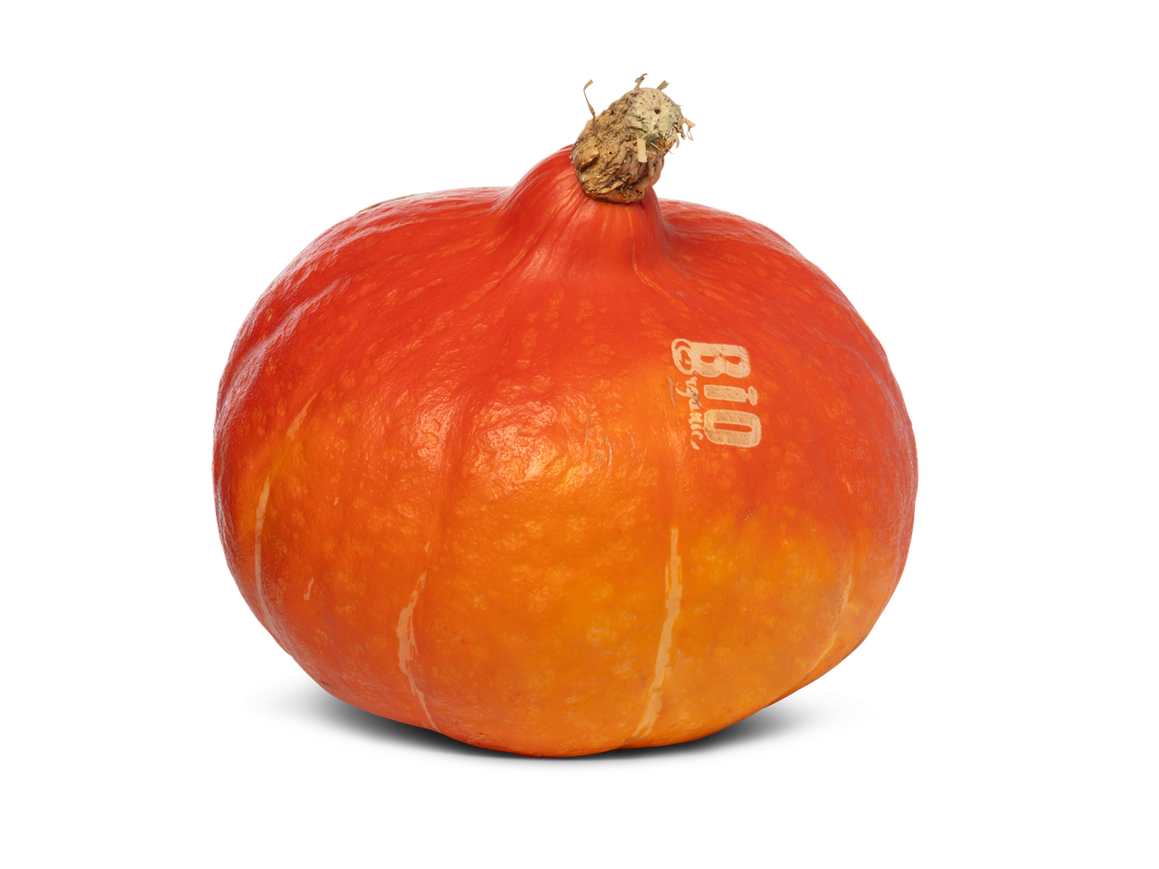 Biologische oranjekleurige pompoen.