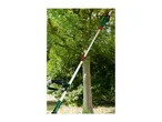 A long-reach pole saw is extended towards a tree, ready for pruning.