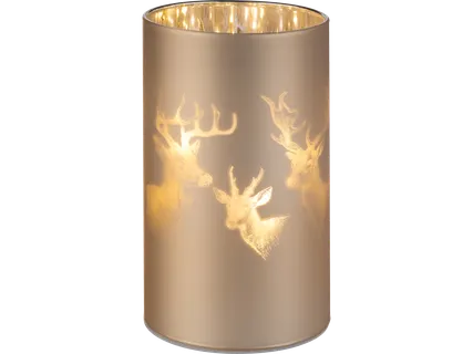 LIVARNO LED žibintas