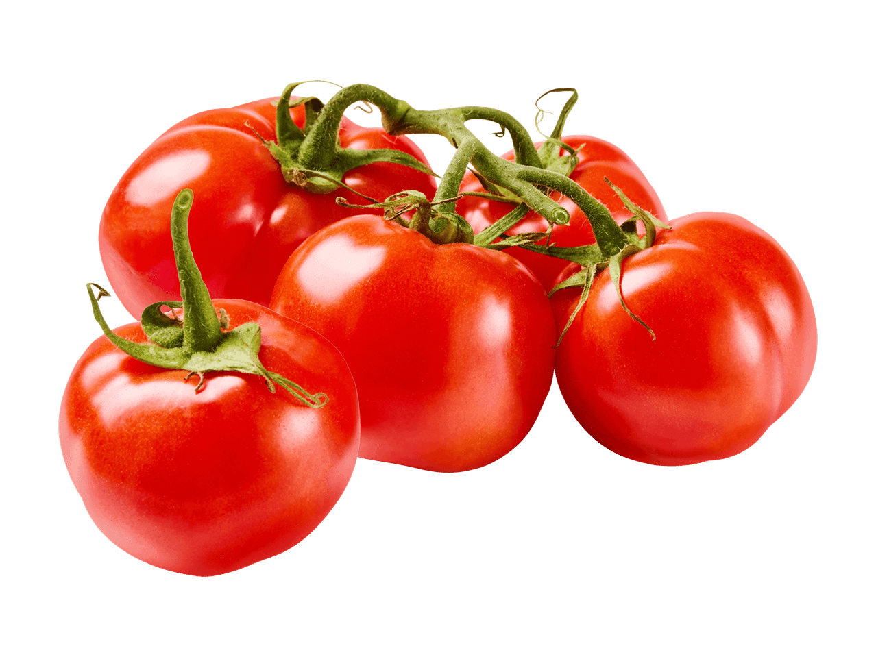 Terttutomaatti
