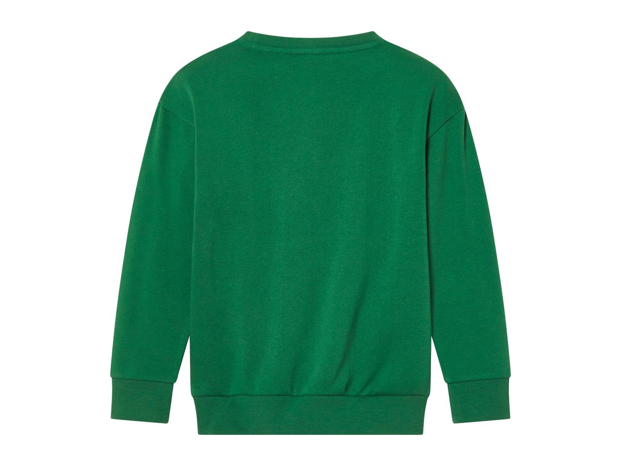 Back view of a plain green long-sleeved sweatshirt.