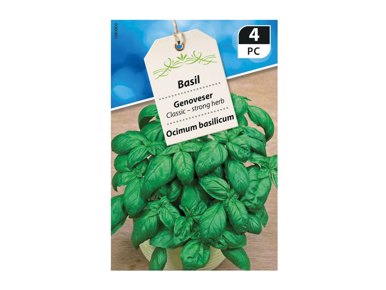 Basil plant with a tag indicating 'Basil Genoveser Classic – strong herb Ocimum basilicum' and '4 PC'.