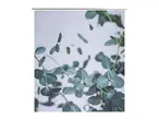 Shower curtain with a pattern of green eucalyptus leaves on a light background.