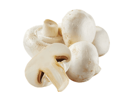 Baltieji pievagrybiai