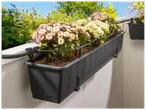 Jardinière de balcon noire avec des chrysanthèmes roses et blancs et un système d'arrosage goutte à goutte.