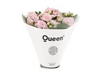 En buket lyserøde Kalanchoe-blomster fra Queen, pakket i en elegant hvid konvolut.