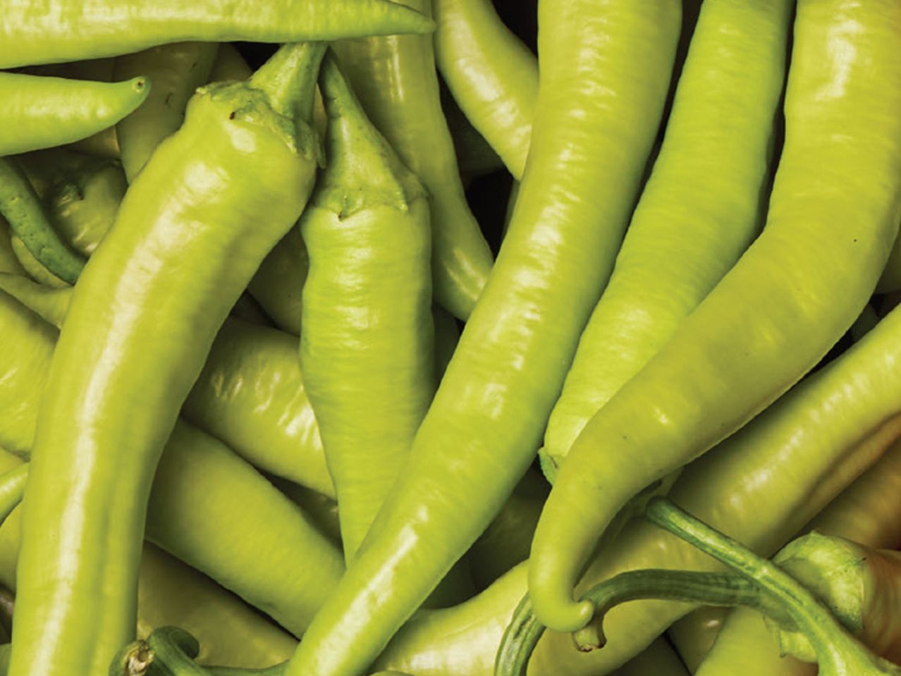 Gomila svežih zelenih paprika.