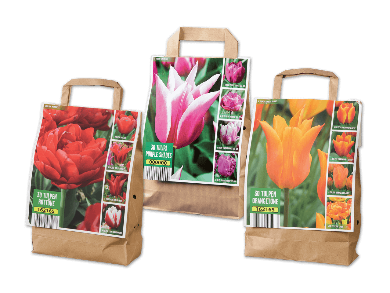 Drei Papiertüten mit Etiketten für Tulpenzwiebeln in Rot-, Lila- und Orangetönen.